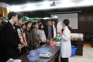 引領(lǐng)心理成長，成就青春夢想 重慶市大學(xué)生心理成長微課比賽暨青馬工程大骨班學(xué)員心理健康培訓(xùn)圓滿落幕