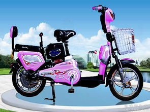 供應(yīng)全新原裝新日電 新日電動(dòng)車(chē) 飛越2號(hào)