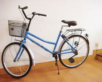 自行車(chē)百元身價(jià)沒(méi)變