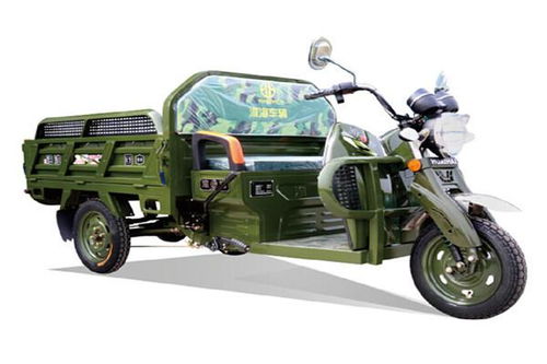 三輪電動車有哪些品牌