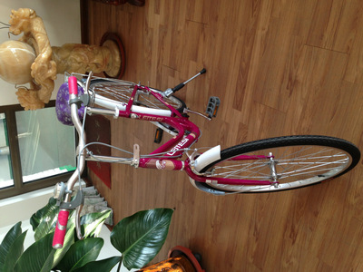 【天津市濮琪自行車】價(jià)格,廠家,圖片,自行車,天津市濮琪自行車-