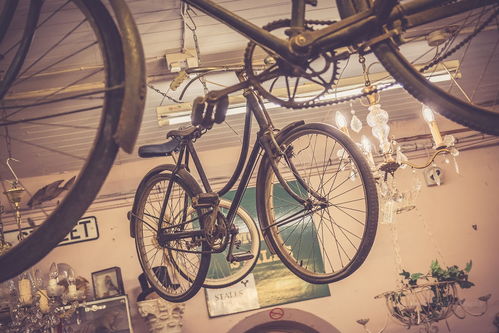 電動自行車 點(diǎn)綴街頭的靚麗風(fēng)景線